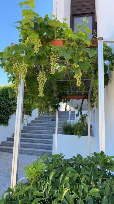Villa En Oropesa Oropesa del Mar Exteriör bild